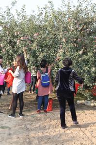 感受田园最美风光 体验采摘无尽乐趣