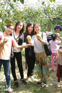 音乐学院工会赴砀山进行金秋采摘活动